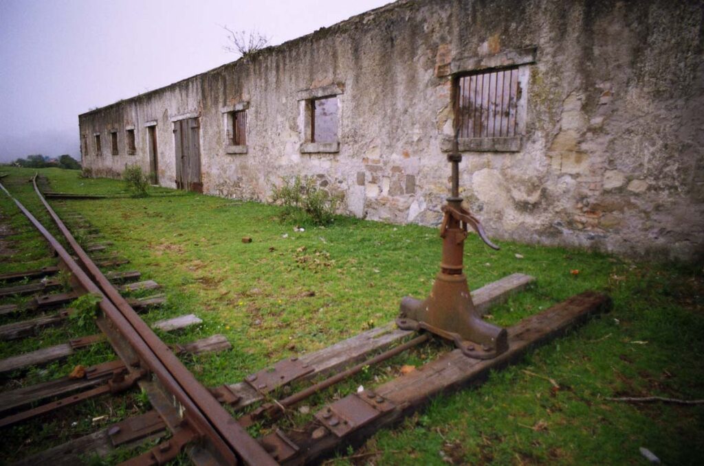 “Tu. decides”, 2008