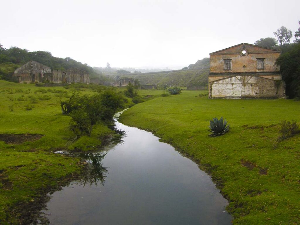 “!Mira, mira!”, 2008