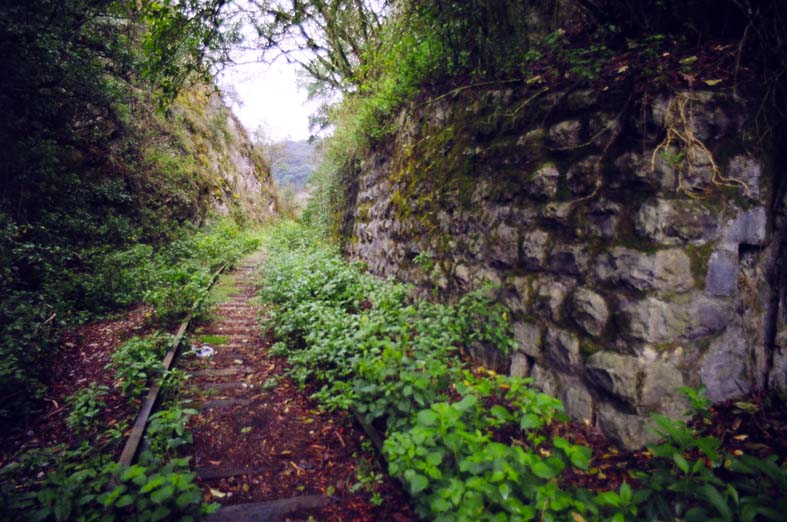 Texto: “Extraño su ruido”